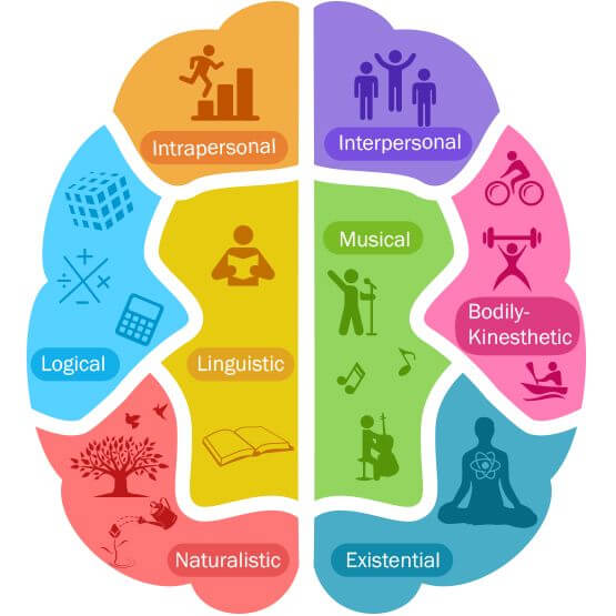 brain development program brain development program