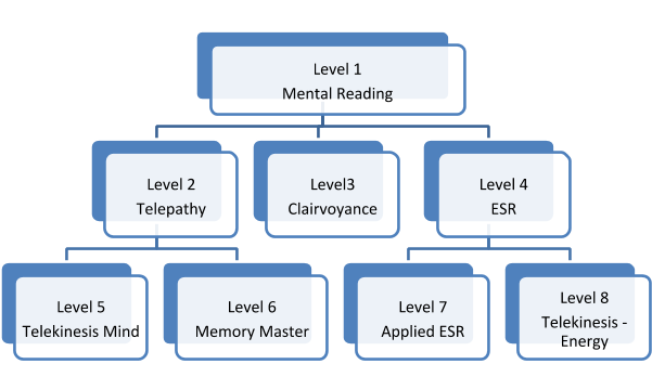 Levels of Brainy Program